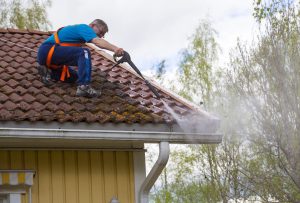 Roof Cleaning